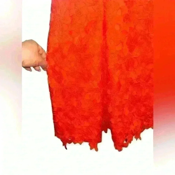Banana Republic Size 8 Orange Lace Pleated Short Sleeve V-Neck Sheath Dress - Picture 7 of 10